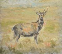 STARTLED STAG by Con Campbell at Ross's Online Art Auctions