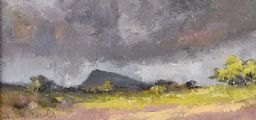 MUCKISH MOUNTAIN FROM ARDS FOREST PARK by Jim Holmes at Ross's Online Art Auctions