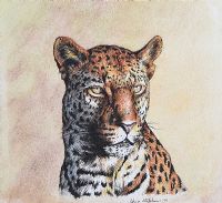 LEOPARD by Chris Stephens at Ross's Online Art Auctions