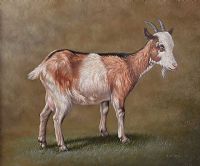 STUDY OF A GOAT by John C. Gray at Ross's Online Art Auctions