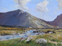 RIVER IN THE MOURNES by Paul Holmes at Ross's Online Art Auctions