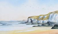 WHITE SANDS, PORTRUSH by A.J. Hill at Ross's Online Art Auctions