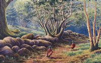 PHEASANTS IN THE WOODS by Donal McNaughton at Ross's Online Art Auctions