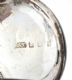 SILVER SOVERIGN CASE at Ross's Online Art Auctions