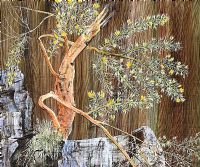 TREE STUDY BY THE ROCKS by Robin McCully at Ross's Online Art Auctions