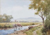 CATTLE WATERING IN A RIVER by James Aitken at Ross's Online Art Auctions