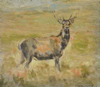 STARTLED STAG by Con Campbell at Ross's Online Art Auctions