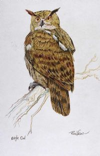 EAGLE OWL by Rowel Friers HRUA at Ross's Online Art Auctions