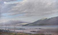 LOUGH MELVILLE, DONEGAL by G. Wilson at Ross's Online Art Auctions
