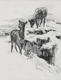 DEER IN A LANDSCAPE by Irish School at Ross's Online Art Auctions