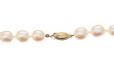 14CT GOLD CLASP STRAND OF PEARLS at Ross's Online Art Auctions
