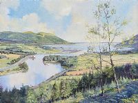 CARLINGFORD LOUGH by Colin Turner at Ross's Online Art Auctions