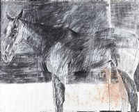 STUDY OF A HORSE by Basil Blackshaw HRHA HRUA at Ross's Online Art Auctions