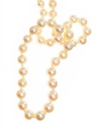 STRAND OF CULTURED PEARLS WITH A 9CT WHITE GOLD CLASP at Ross's Online Art Auctions
