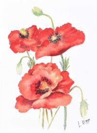 STILL LIFE, RED POPPIES by Lorraine Kidd at Ross's Online Art Auctions