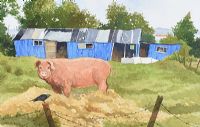 THE GREENISLAND PIG by James Macintyre RUA at Ross's Online Art Auctions