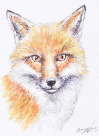 FOXY by Andy Saunders at Ross's Online Art Auctions