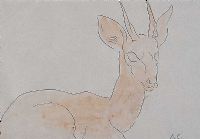 STUDY OF A DEER by George Campbell RHA RUA at Ross's Online Art Auctions
