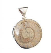 STERLING SILVER PENDANT SET WITH LEOPARD SKIN JASPER AND AMMONITE at Ross's Online Art Auctions