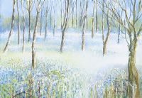 BLUEBELLS IN TULLYMORE FOREST by Jo Watson at Ross's Online Art Auctions
