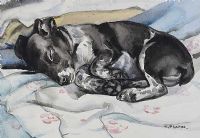 SLEEPING DOG by N. Pearse at Ross's Online Art Auctions