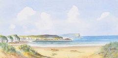 WHITEPARK BAY by Tim W. Irwin at Ross's Online Art Auctions
