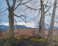 TREES NEAR BELVOIR PARK, BELFAST by Hans Iten RUA at Ross's Online Art Auctions