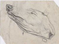 DOG STUDY by William Conor RHA RUA at Ross's Online Art Auctions