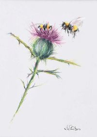 THISTLE & BEES by Lawrence Chambers at Ross's Online Art Auctions