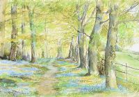 BLUEBELL WOOD by Joyce Oliver ARCA RWA at Ross's Online Art Auctions