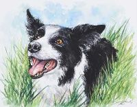 SHEEPDOG, MAN'S BEST FRIEND by Andy Saunders at Ross's Online Art Auctions