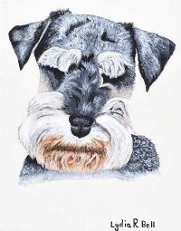 SCHNAUZER by Lydia R. Bell at Ross's Online Art Auctions