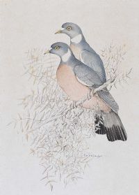 PIGEONS by Brian H.P. Keady at Ross's Online Art Auctions