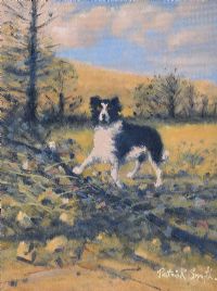 COLLIE SURPRISE by Patrick Smyth at Ross's Online Art Auctions