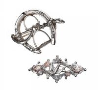 TWO VICTORIAN SILVER BROOCHES at Ross's Online Art Auctions
