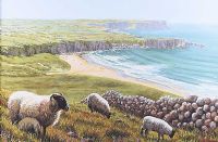 SHEEP OVER WHITEPARK BAY by Keith Glasgow at Ross's Online Art Auctions