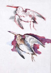 BIRD STUDY by Tom Carr HRHA HRUA at Ross's Online Art Auctions