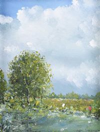 RIVER MEADOWS AT LOUGH ESKE by Sean Lorinyenko at Ross's Online Art Auctions