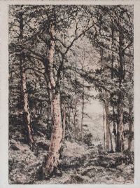 WOODLANDS by C.P. Stocombe at Ross's Online Art Auctions