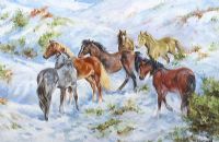 WILD HORSES IN THE WINTER by Stephen Brown at Ross's Online Art Auctions