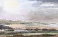 LOW TIDE, STRANGFORD LOUGH by William E. Harbinson at Ross's Online Art Auctions
