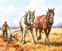 PLOUGHING THE FIELD by Donal McNaughton at Ross's Online Art Auctions