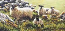 SHEEP GRAZING by Keith Glasgow at Ross's Online Art Auctions