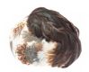 VINTAGE 1950'S FEATHER HAT at Ross's Online Art Auctions