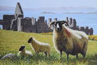 SHEEP BY DUNLUCE CASTLE by Keith Glasgow at Ross's Online Art Auctions