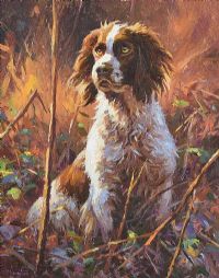 SPRINGER IN THE WOODS by Donal McNaughton at Ross's Online Art Auctions