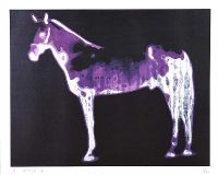 LUNA, HORSE OF LORCA by Ross Wilson ARUA at Ross's Online Art Auctions