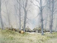 TREES AT LAGAN VALLEY PARK by George C. Morrison RUA at Ross's Online Art Auctions