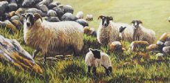 SHEEP BY THE DRY STONE WALL by Keith Glasgow at Ross's Online Art Auctions
