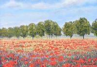 FIELD OF POPPIES by Lawrence Chambers at Ross's Online Art Auctions